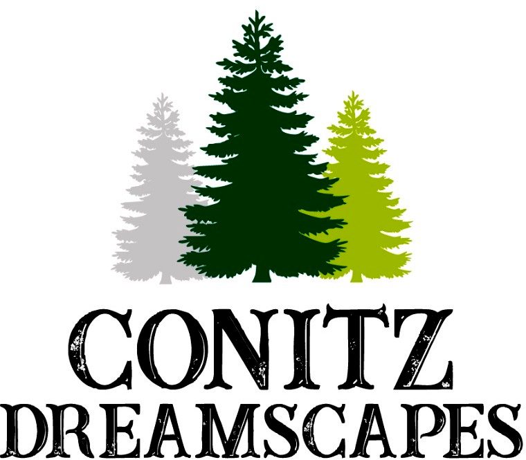 Conitz Dreamscapes Logo